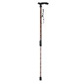 Auto height adjustable cane