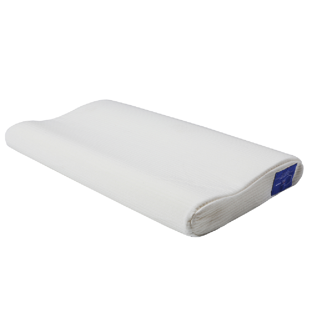 Multi- Function Pillow