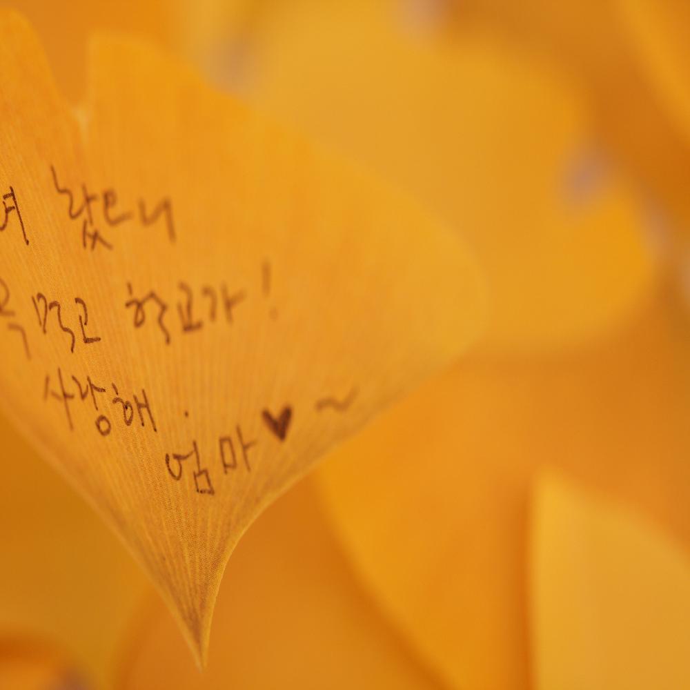 Sticky Leaf - Ginkgo