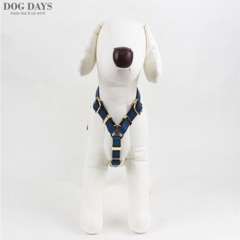 Retro leather gold harness(Blue)
