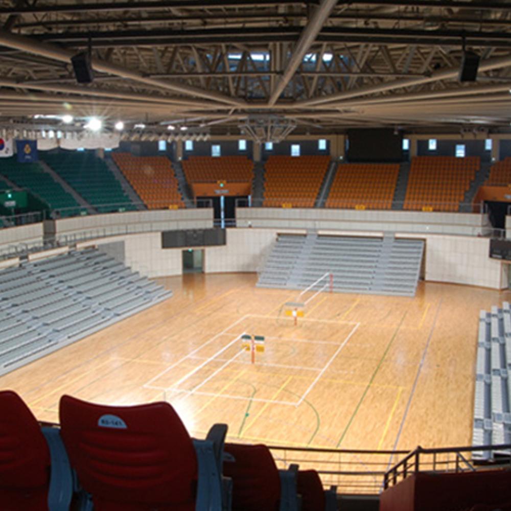 Telescopic (Retractable) Seating HY-200F