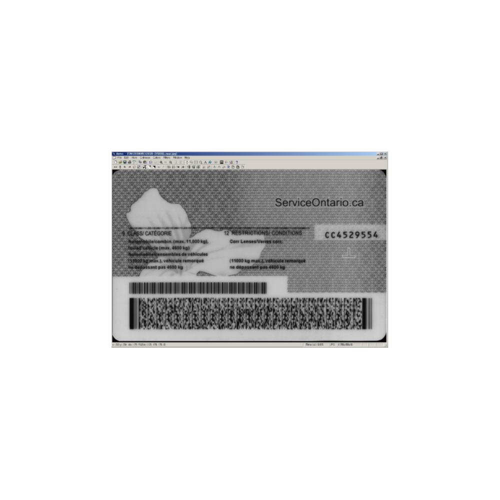 Decode Barcodes from Images and Cameras. Support to OCR and DPM (Direct Part Marking) or Dot Peen.