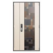 Fire Steel Door(FD 9995 IV)