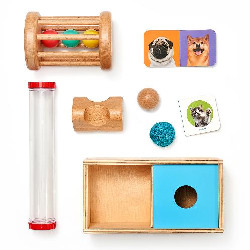 Peekaby Play Kit (9-10 months): Stage-based Montessori Toy Set for Child Development