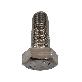 detail image3 25Qty 1/2*1 1/2" UNC13   HEX TAP BOLT SCREW