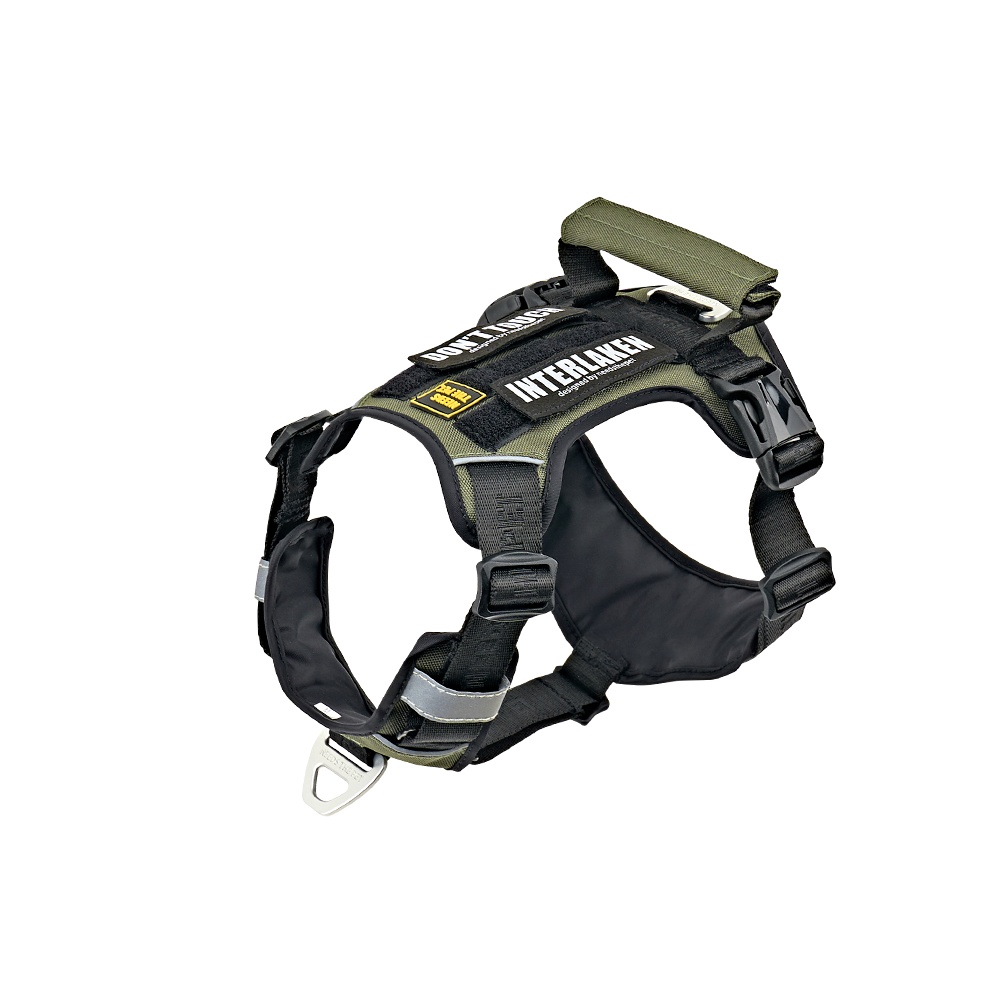 INTERLAKEN SLIM 2.0 HARNESS