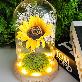 detail image5 LED lucky sunflower glass dome mood light Gift