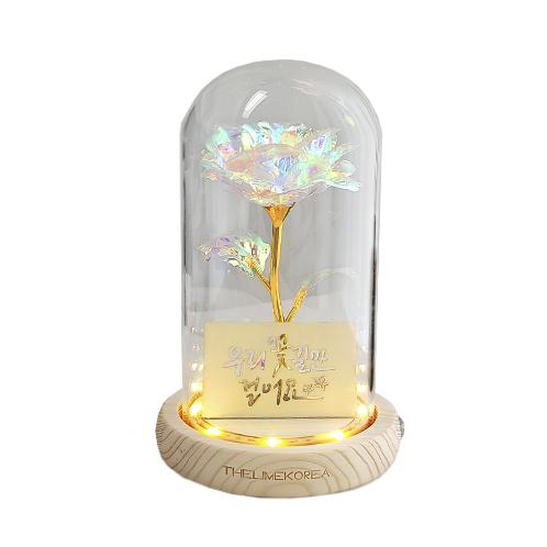 LED flower road Aurora rose glass dome mood light lover's gift