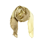 full image Ombre   bage   silk   scarf
