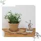 detail image1 Freefactory Flower Plant Pot with Drainage Holes and Saucer Tray(Large/Moss Green)