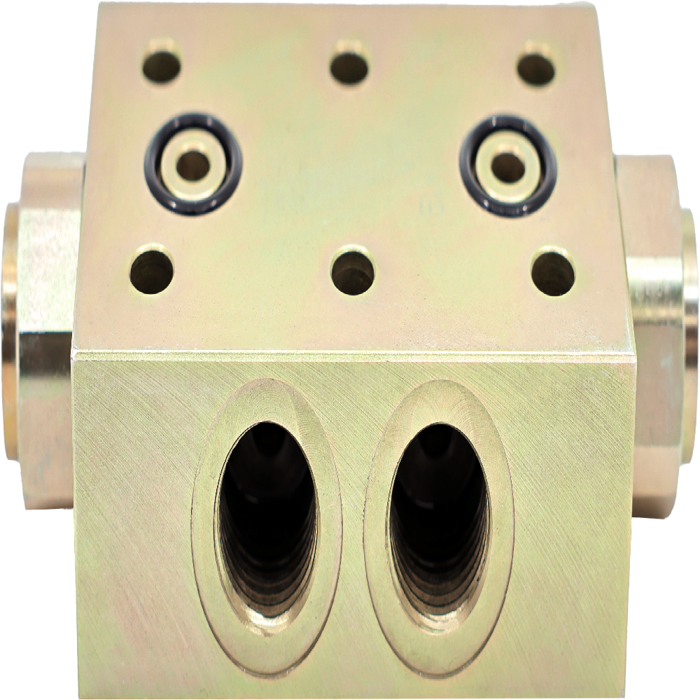 Double Pilot Check Valve